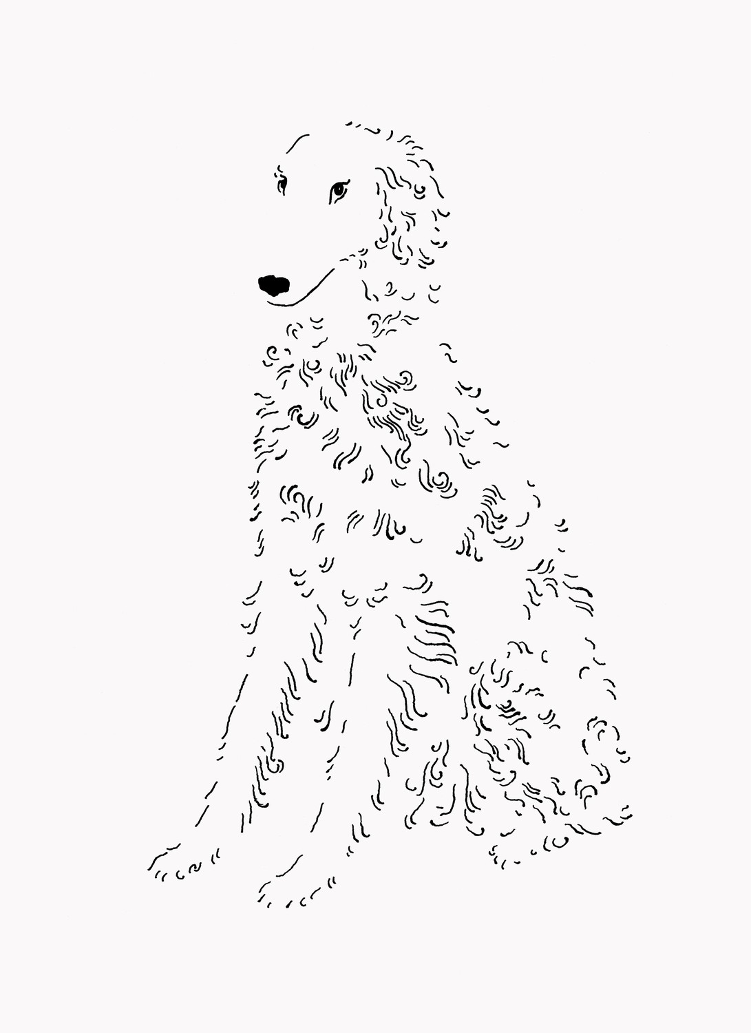 Borzoi silkscreen